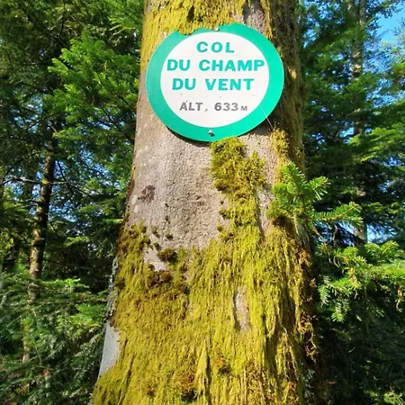 Ideal Au Calme ! Hadol